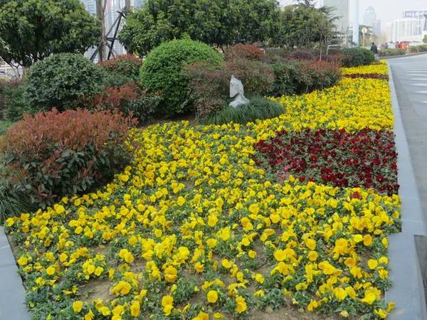 ������С IMG_5948.JPG