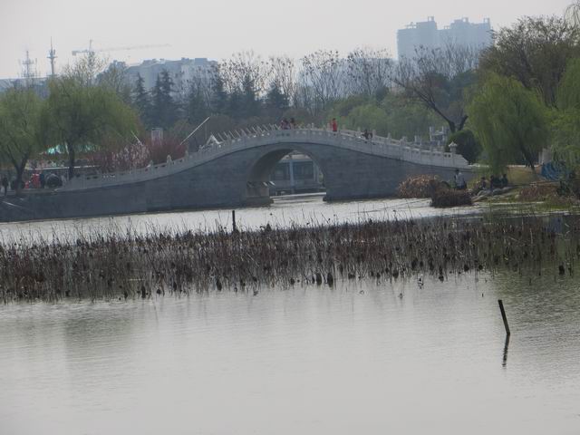 ������С IMG_5955.JPG