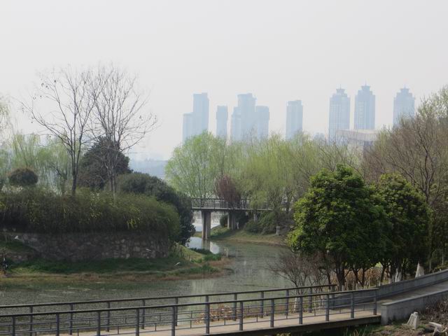 ������С IMG_5951.JPG