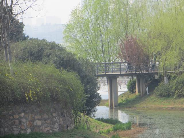 ������С IMG_5952.JPG