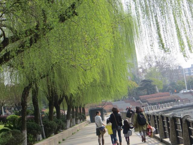 ������С IMG_5962.JPG