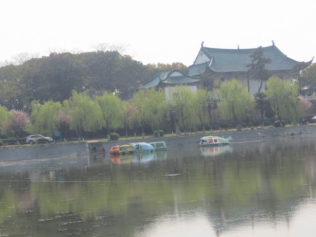 ������С IMG_5961.JPG