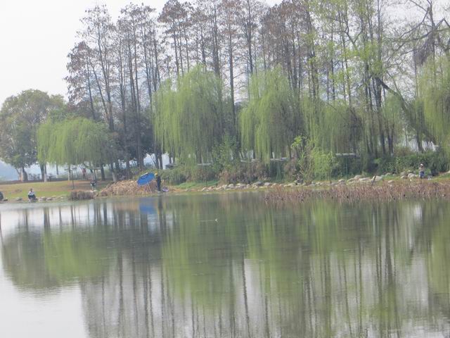 ������С IMG_5964.JPG