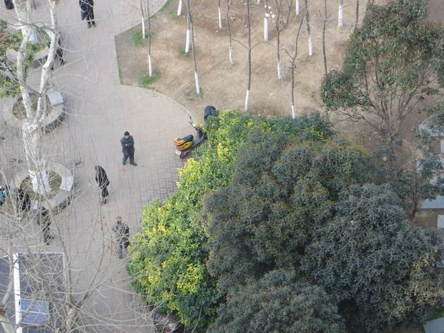 ������С IMG_6030.JPG