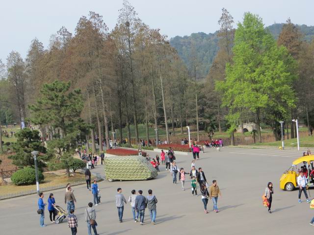 ������С IMG_6132.JPG