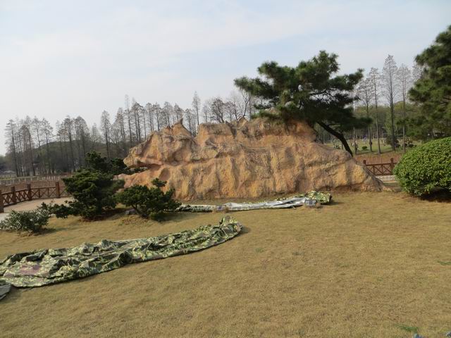 ������С IMG_6133.JPG