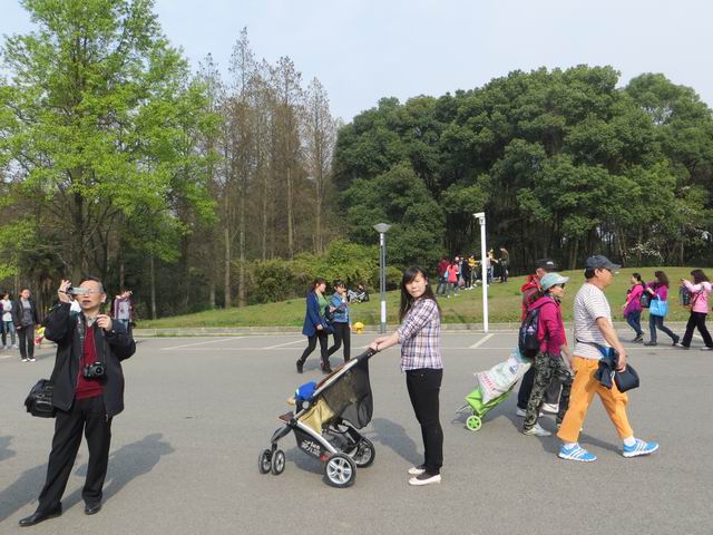 ������С IMG_6134.JPG