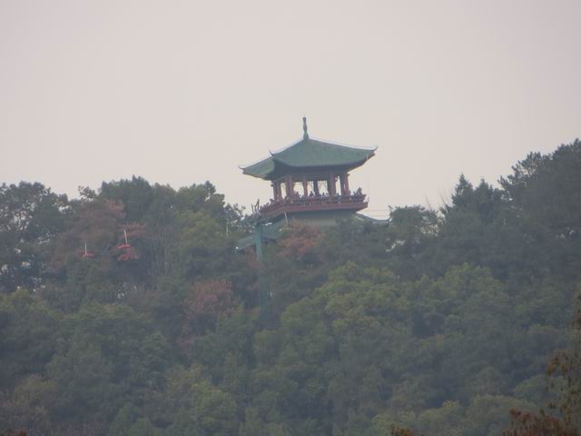 ������С IMG_6143.JPG