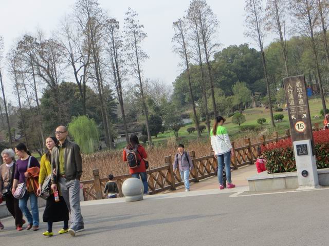 ������С IMG_6136.JPG