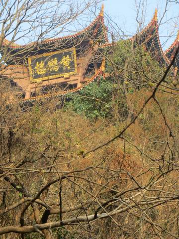 ������С ��ת IMG_6051.JPG