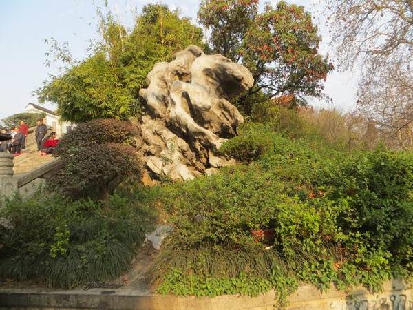 ������С IMG_6041.JPG