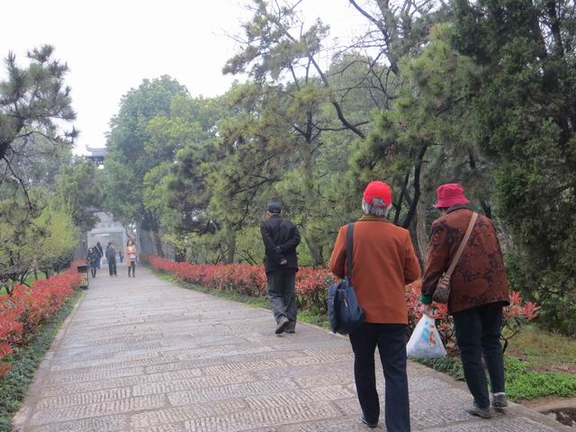 ������С IMG_6170.JPG