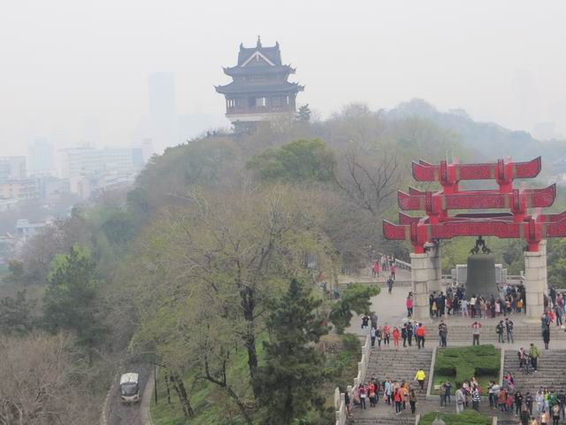 ������С IMG_6236.JPG