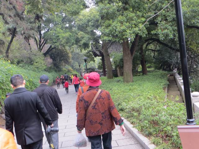 ������С IMG_6240.JPG