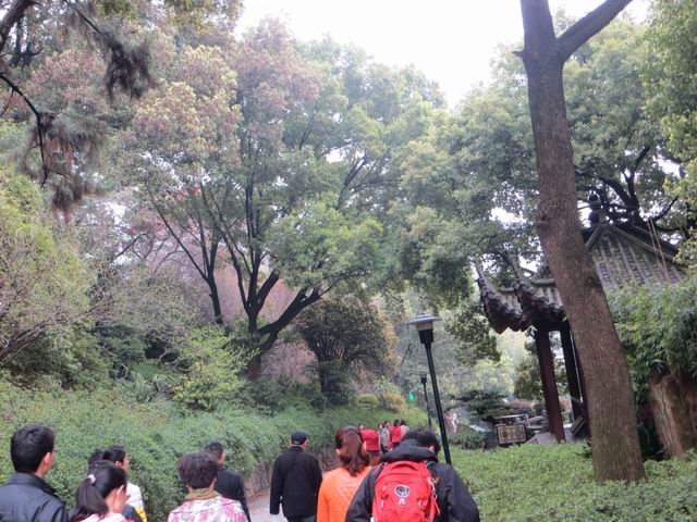 ������С IMG_6241.JPG