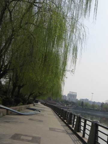 ������С ��ת IMG_5960.JPG