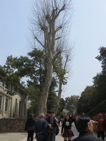 ������С ��ת IMG_6078.JPG