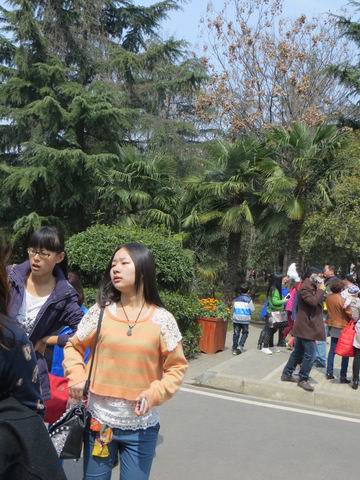 ������С ��ת IMG_6110.JPG