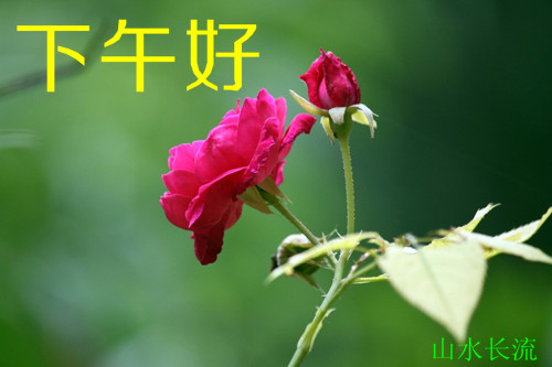 �¼� �����.jpg