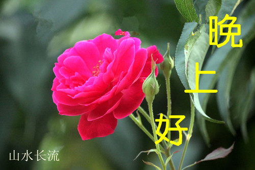 �¼� ���Ϻ�.jpg