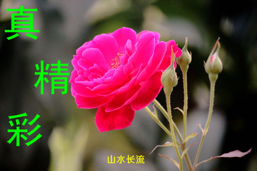 �¼� �澫��.jpg