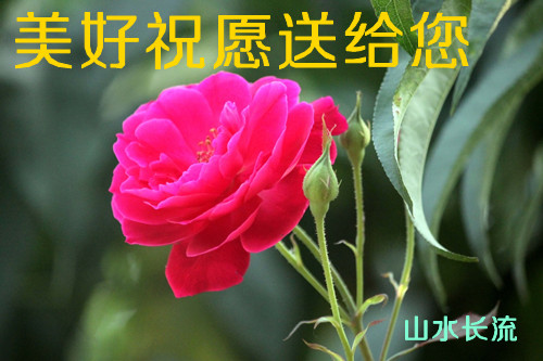 �¼� ����ףԸ�͸���.jpg