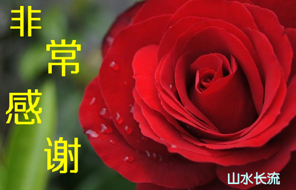 �軨 �� �ǳ���л.jpg