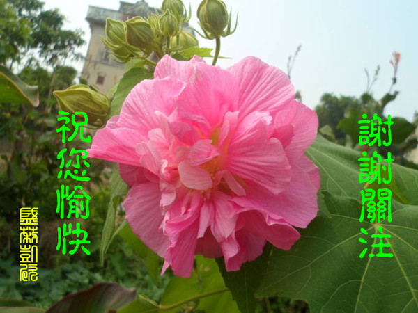 1..лл��עף����� .jpg