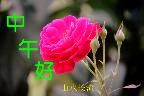 �¼� �����.jpg