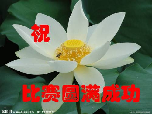 ��8.jpg.thumb_����_����.jpg.thumb - ����.jpg