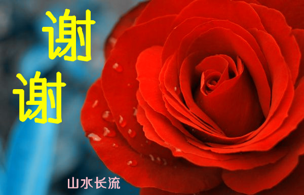 �軨 �� лл.jpg