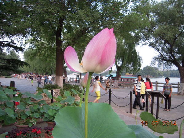 ���� 360.jpg