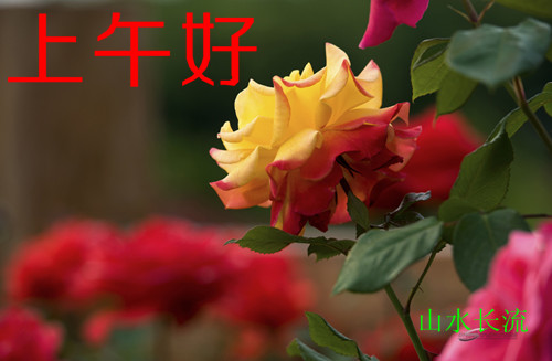 �¼� �����.jpg