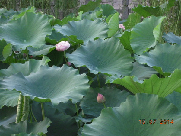 ���� 402.jpg