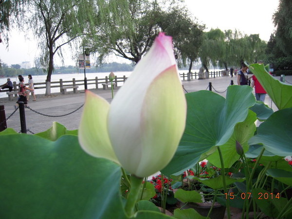 ���� 407.jpg