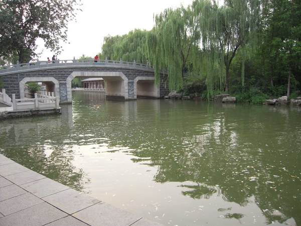 ���� 135.jpg