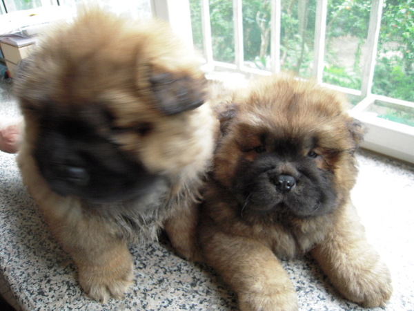 ��ͥ��Ƭ 084.jpg