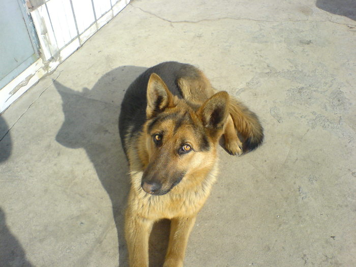 DSC00047 - ����.JPG