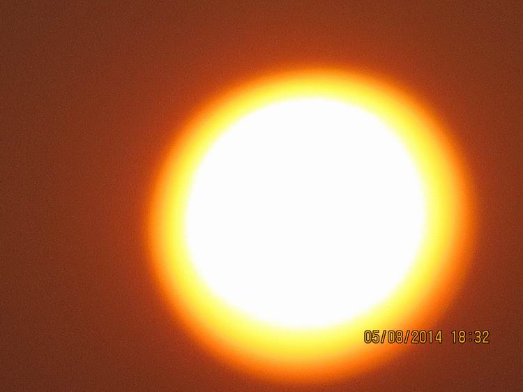 ������С IMG_7960.JPG