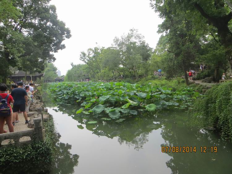 ������С IMG_8293.JPG