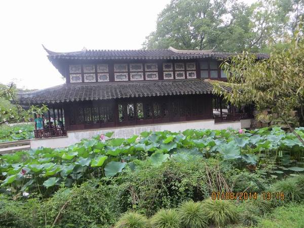 ������С IMG_8313.JPG