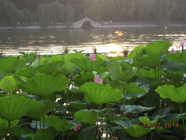 ���� 318.jpg