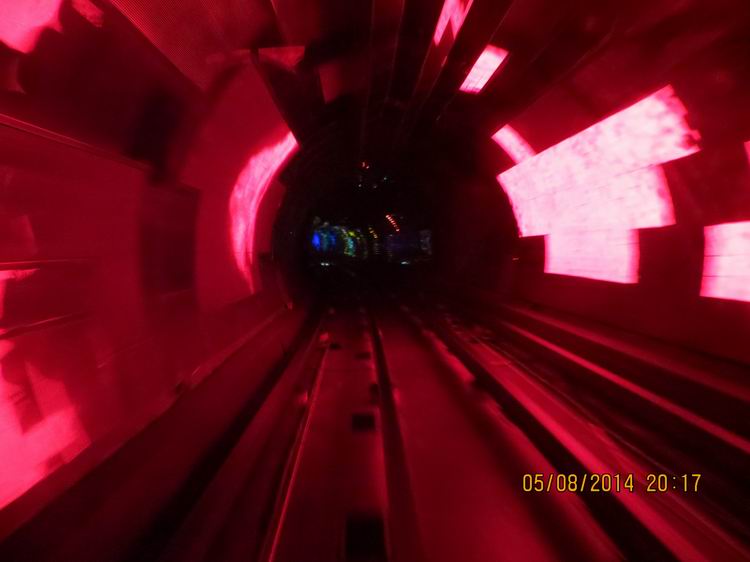 ������С IMG_8035.JPG