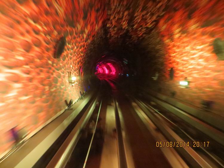 ������С IMG_8037.JPG