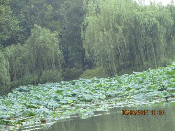 ������С IMG_8411.JPG