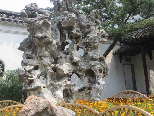 ������С IMG_8240.JPG