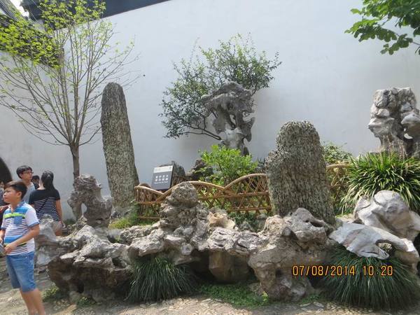 ������С IMG_8232.JPG