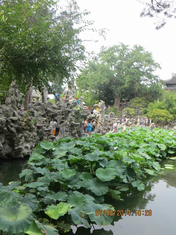 ������С IMG_8245.JPG