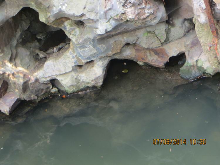 ������С IMG_8250.JPG