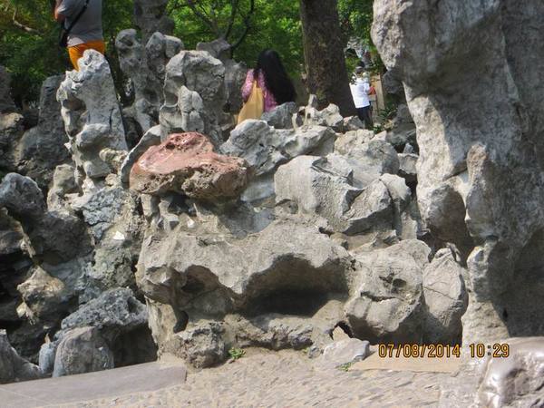 ������С IMG_8249.JPG